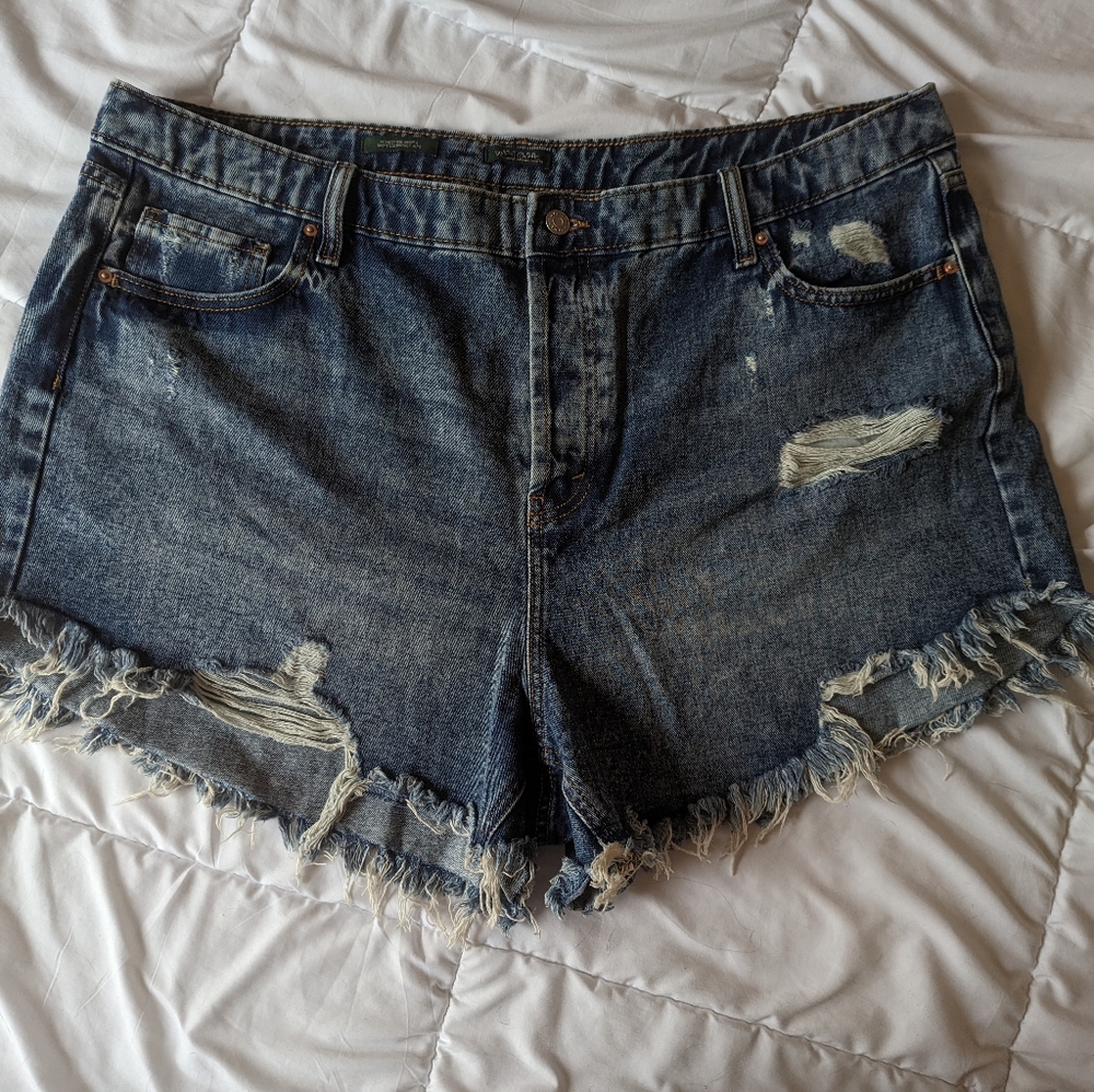 Distressed shorts